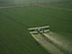 Endocrine disrupting properties of pesticides home