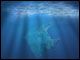 Marine Litter home