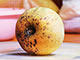 Food Wastage home