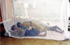 Mosquito nets are a major prevention measure.